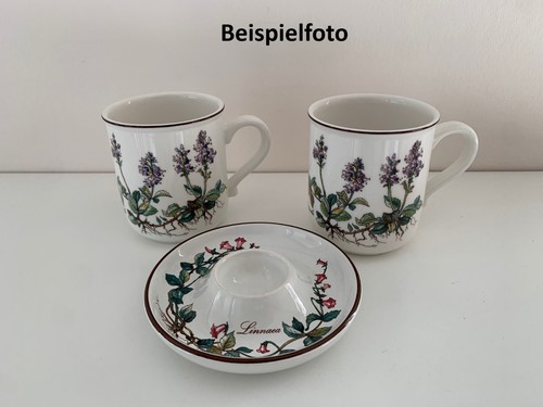 Villeroy boch botanica - &,